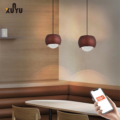 Đèn chiếu sáng mặt dây chuyền XUNYU LED 8W 6000K Đèn chiếu sáng hình cầu